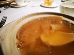 -新同乐鱼翅酒家(美丽华店)