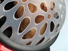 -瑞鹏宠物医院·微创内窥镜·骨外科·牙科(翠竹分院)