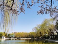 -团结湖公园
