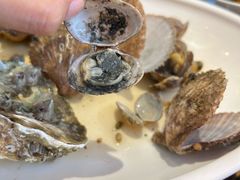 -福来齐·鲁菜海鲜·渔家菜(朝阳街分店)