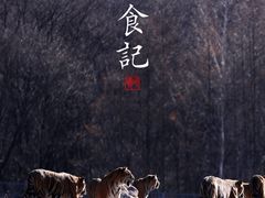 -横道河子东北虎林园
