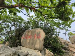 -紫金山山顶公园