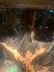 -造物庄园 萌宠纪(苏州湾歌林公园店)