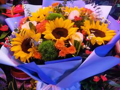 -中国人民解放军总医院