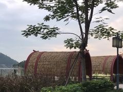-顺峰山公园