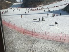 -蓟洲国际滑雪场