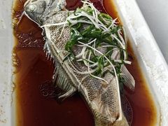 -云中小雅