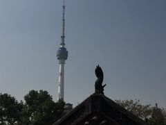-龟山风景区-龟山电视塔