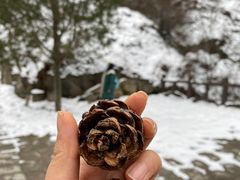 -秦岭终南山世界地质公园翠华山景区