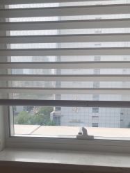-广东韩妃整形外科医院