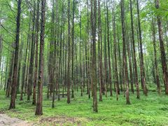 -小格里自然风景区