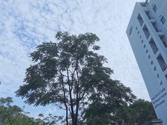 -上海市普陀区疾病预防控制中心