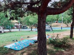 -青龙湖公园