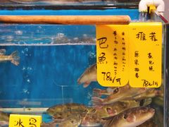 水产区-飞尝蚝·顺德菜·鱼生(顺德总店)