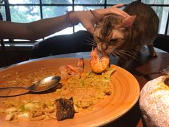 -more than meow吴止猫主题餐厅(承德 中船汇店)