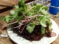 -比尔森韩式烤肉自助(绿园店)