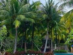 -海南清水湾莱佛士酒店