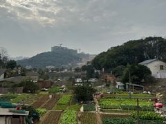 -小食院简餐厅