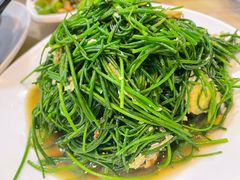 沙葱-苗氏卷子鸡(张掖金鸿大厦店)