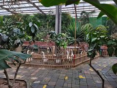 -呀路古热带植物园