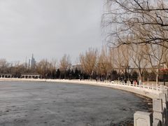 -莲花池公园