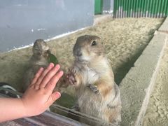 -杭州野生动物世界