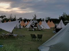 -上海长兴岛郊野公园