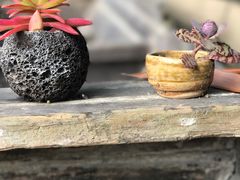 -三门江国家森林公园