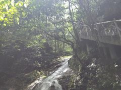 -藏龙百瀑风景区