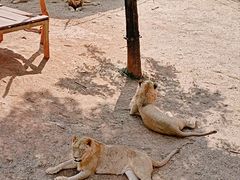 -昆明动物园
