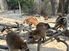 -宁波野生动物园