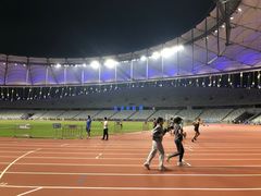 -深圳市宝安体育中心体育场