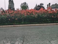 -洪家楼教堂