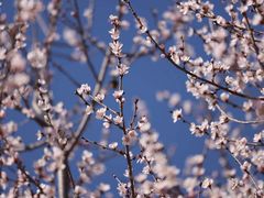 -北京金海湖景区