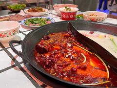 -朱光玉火锅馆(正弘城店)