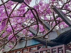 -郑和公园