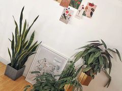 -隹木咖啡馆(宝龙广场店)