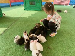 -萌宠亲子动物乐园(槐房万达店)