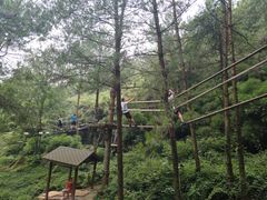 -梦幻奥陶纪景区