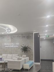 -上海首尔丽格医疗美容医院