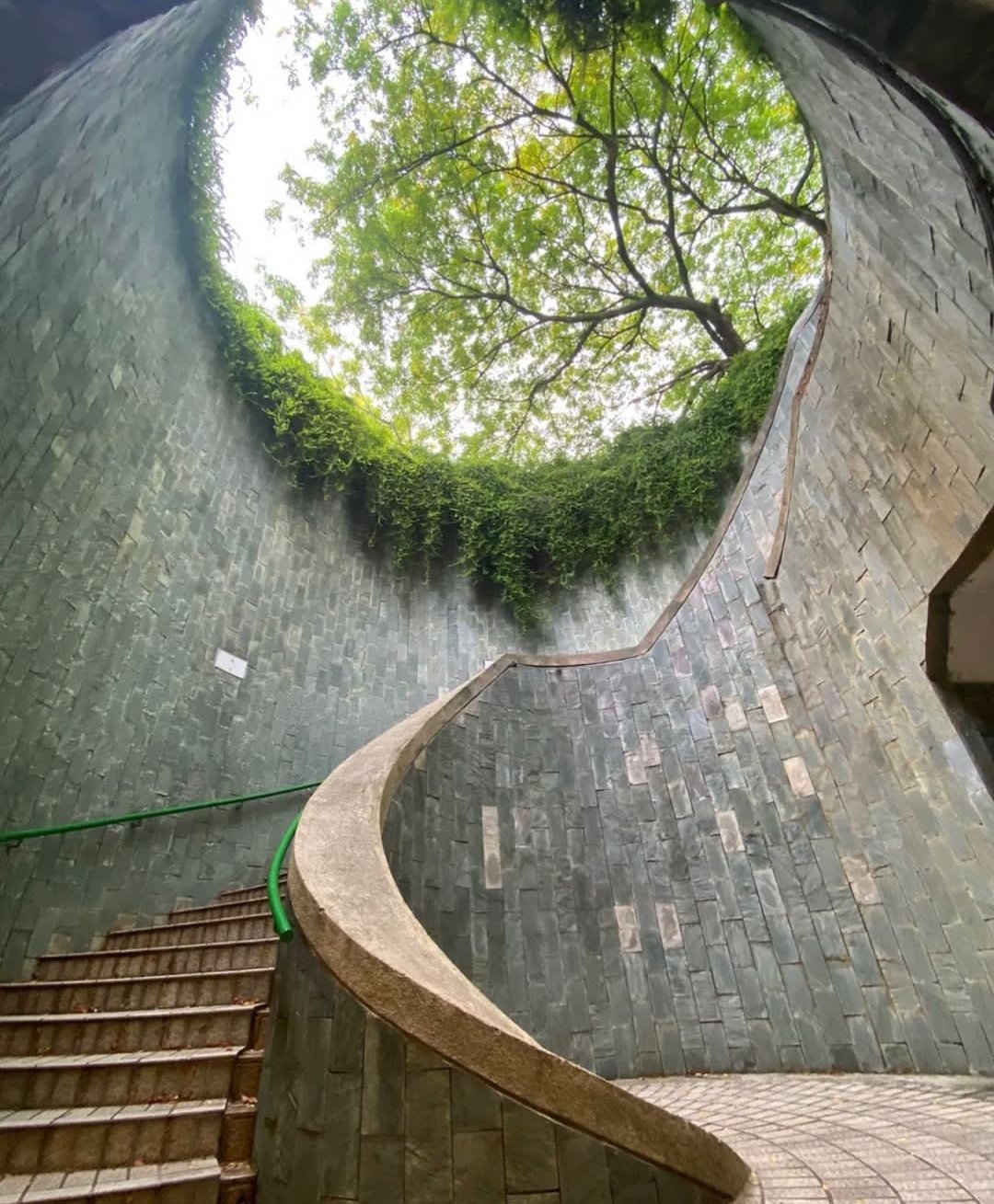 雨林树洞隐藏图在哪图片