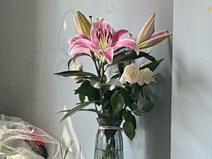 -循礼门鲜花花市(武汉循礼门店)