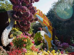 -杭州植物园