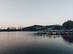 -上海长兴岛郊野公园