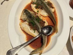 鸡油蒸仙子鱼-悦海堂(金融街购物中心店)