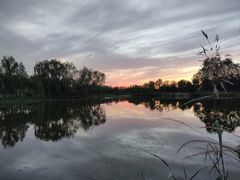 -东郊湿地公园