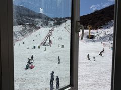 -太子岭滑雪场