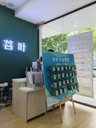 -菩叶脱发白发中心