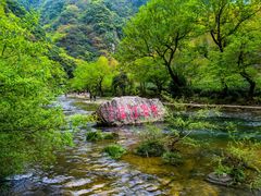 -水墨汀溪风景区