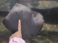 -南昌海洋公园